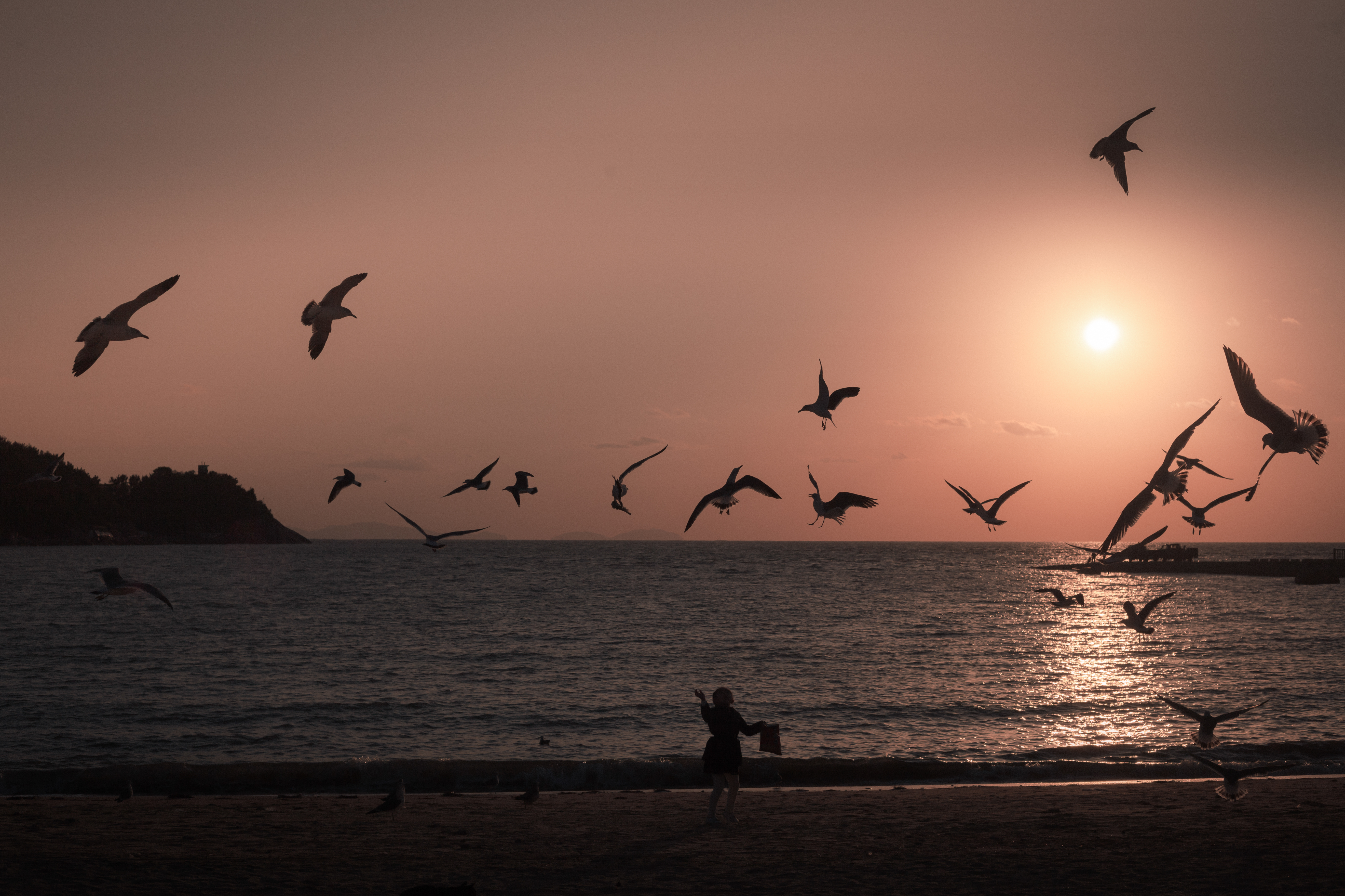 Jiangs — Photographer